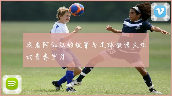 我看阿仙奴的故事与足球激情交织的青春岁月