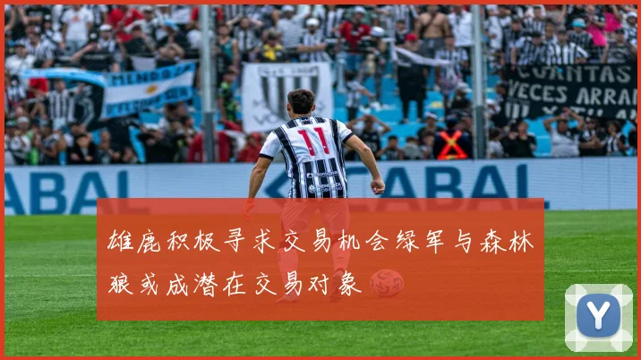 雄鹿积极寻求交易机会绿军与森林狼或成潜在交易对象